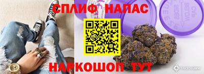 ECSTASY Новодвинск