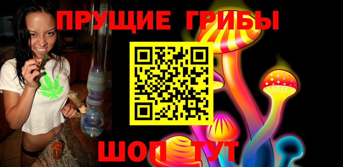 Псилоцибиновые грибы Psilocybine cubensis Славянск-на-Кубани
